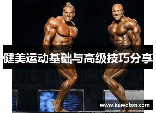 健美运动基础与高级技巧分享