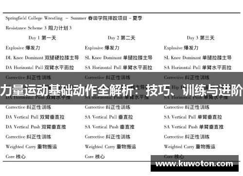 力量运动基础动作全解析：技巧、训练与进阶